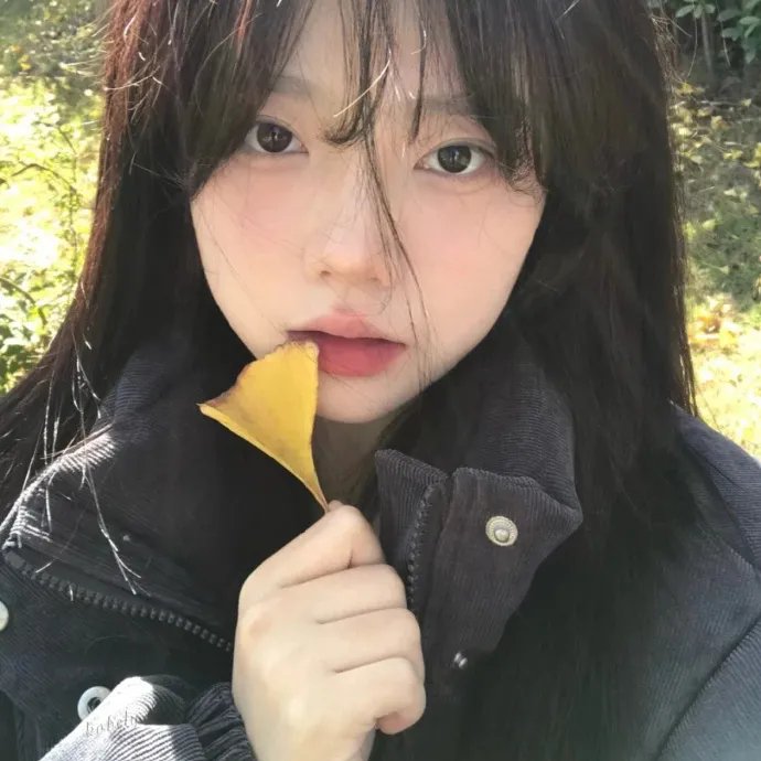 碧血兄弟情